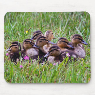 Duckling Huddle Mousemat
