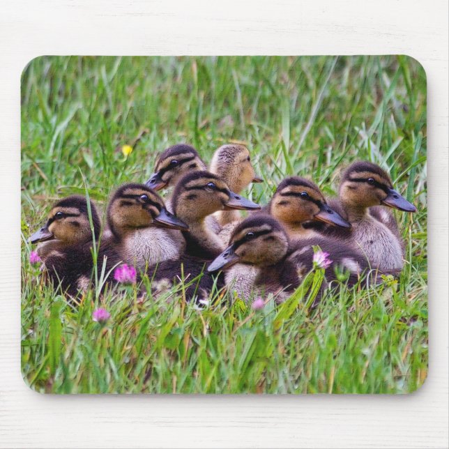 Duckling Huddle Mousemat (Front)