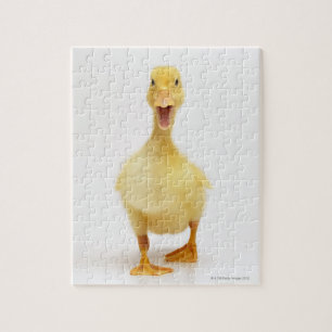 Duckling Jigsaw Puzzle