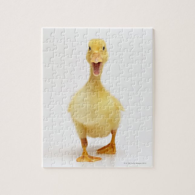 Duckling Jigsaw Puzzle (Vertical)