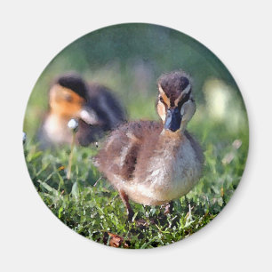 Duckling Magnet