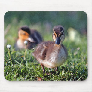 Duckling Mouse Mat