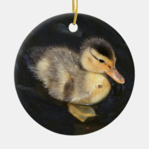 Duckling Ornament