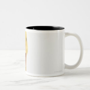 Duckling Two-Tone Coffee Mug