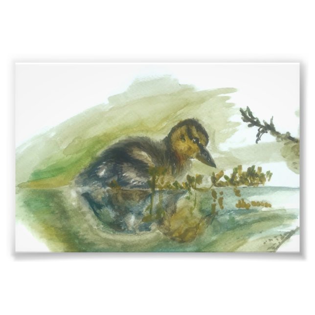 Duckling watercolour print by Marie Anne Art  (Front)