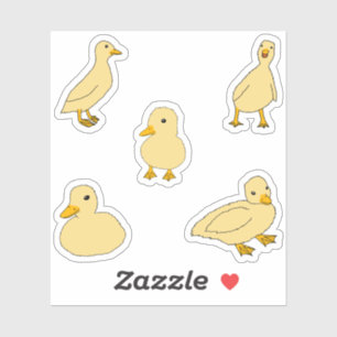 Ducklings