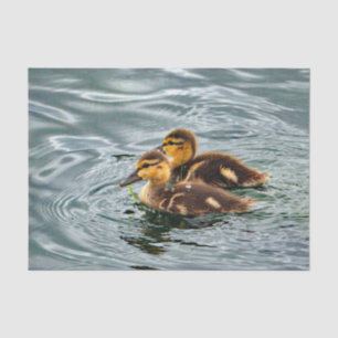 Ducklings 294 tissue paper