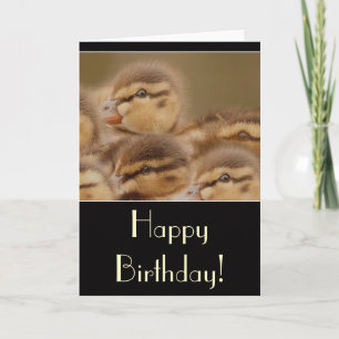 Ducklings Birthday Card