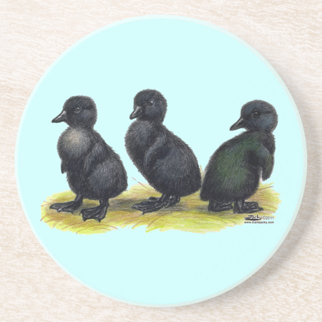 Ducklings Black Cayuga Coaster (Front)
