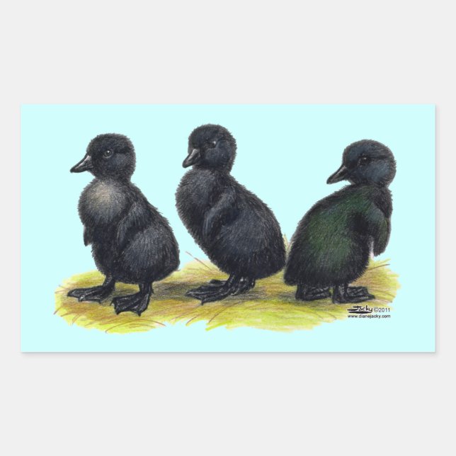 Ducklings Black Cayuga Rectangular Sticker (Front)
