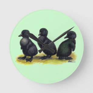 Ducklings Black Cayuga Round Clock