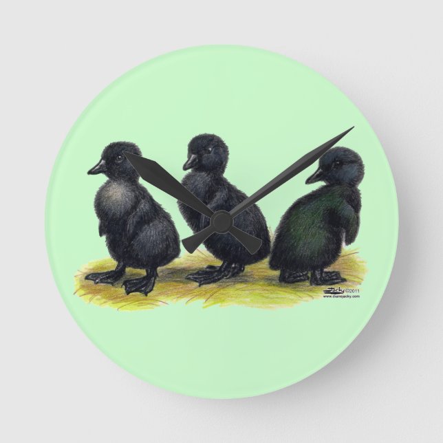 Ducklings Black Cayuga Round Clock (Front)