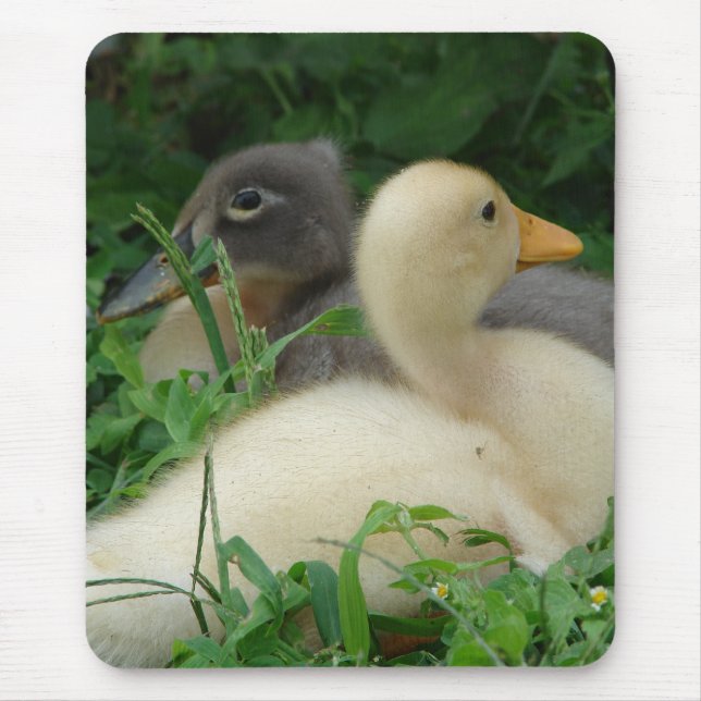 Ducklings Mouse Mat (Front)