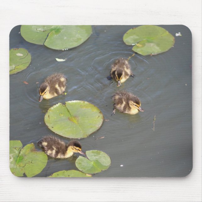 Ducklings mouse pad (Front)
