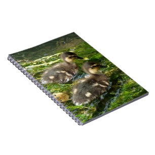 Ducklings Notebook
