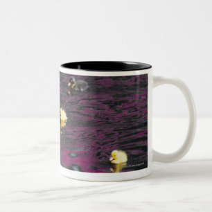 ducklings Two-Tone coffee mug