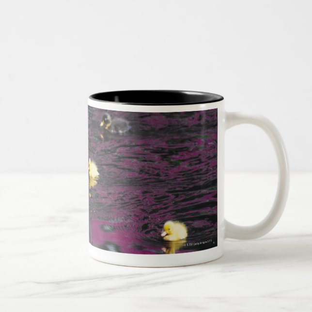 ducklings Two-Tone coffee mug (Right)