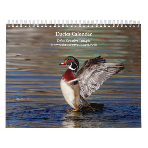Ducks 2026 calendar
