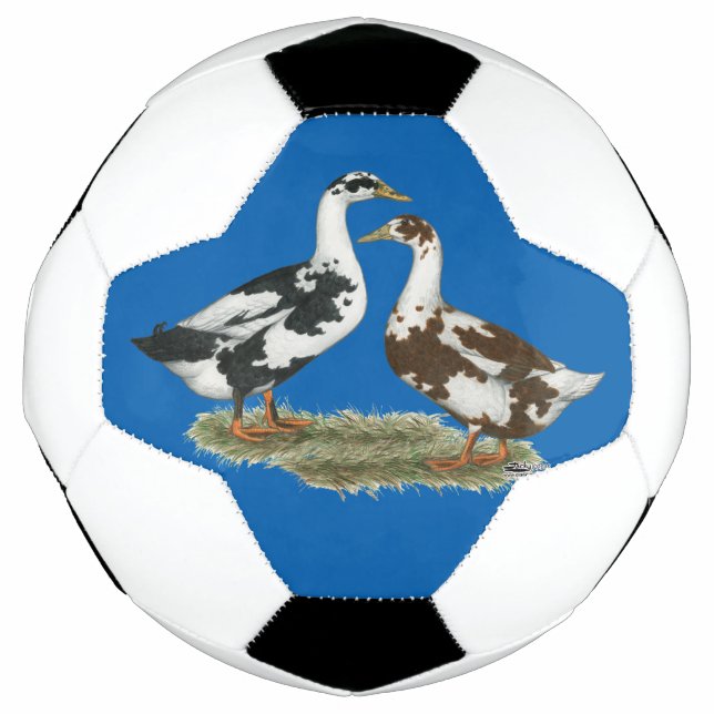 Ducks Ancona  Pair Football (Front)