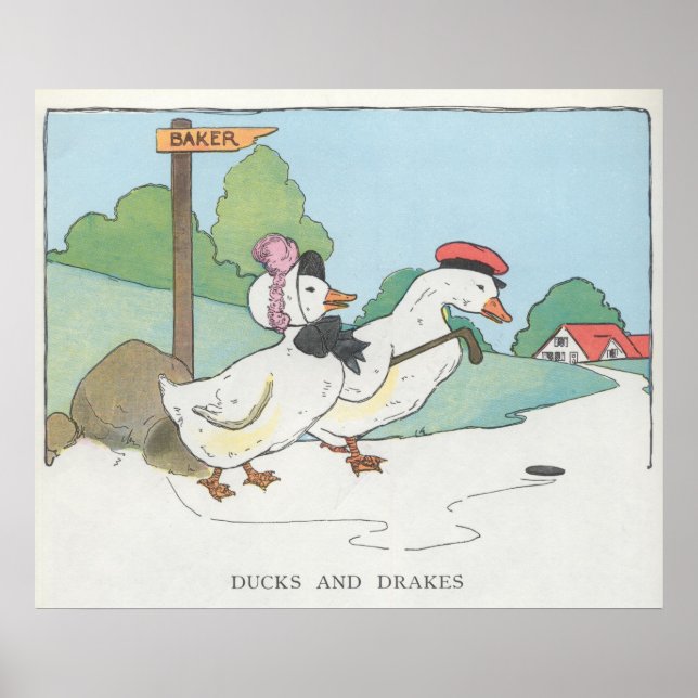 Ducks and Drakes Poster (Front)