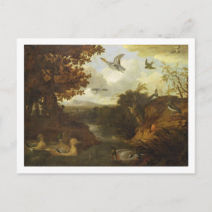 Ducks and other birds about a stream in an Italian Postcard