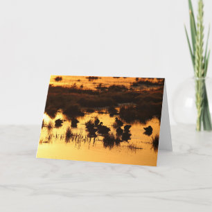 Ducks at Daybreak Card