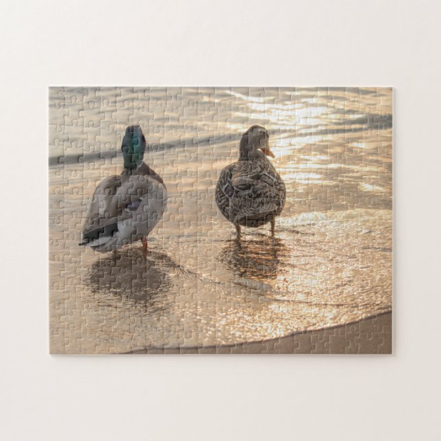 Ducks at Sunset Jigsaw Puzzle (Horizontal)