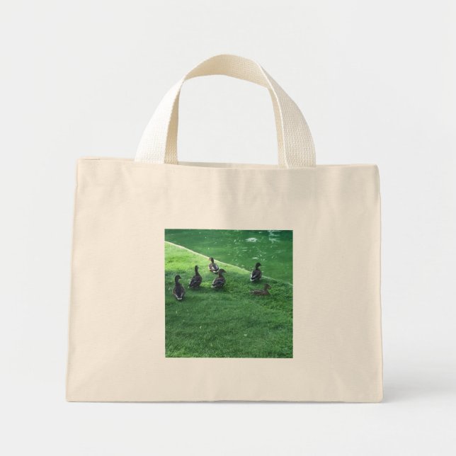 Ducks Bag (Front)