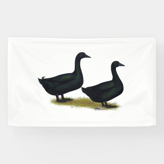 Ducks:  Black Cayugas Banner (Horizontal)