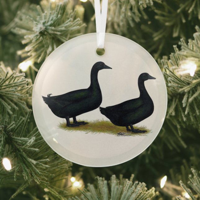 Ducks:  Black Cayugas Glass Tree Decoration (Insitu)