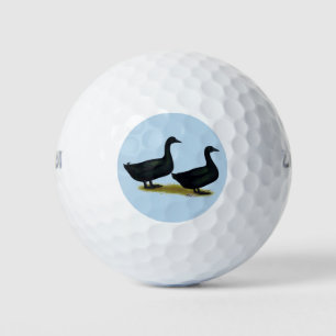 Ducks: Black Cayugas Golf Balls