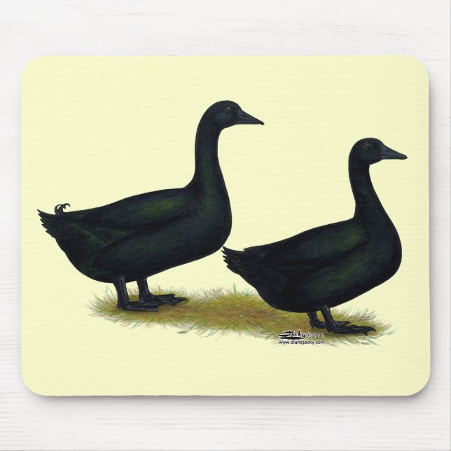 Ducks:  Black Cayugas Mouse Mat (Front)