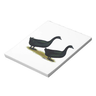 Ducks: Black Cayugas Notepad