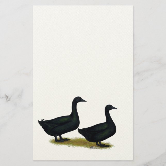 Ducks:  Black Cayugas Stationery (Front)