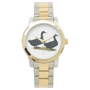 Ducks: Black Cayugas Watch