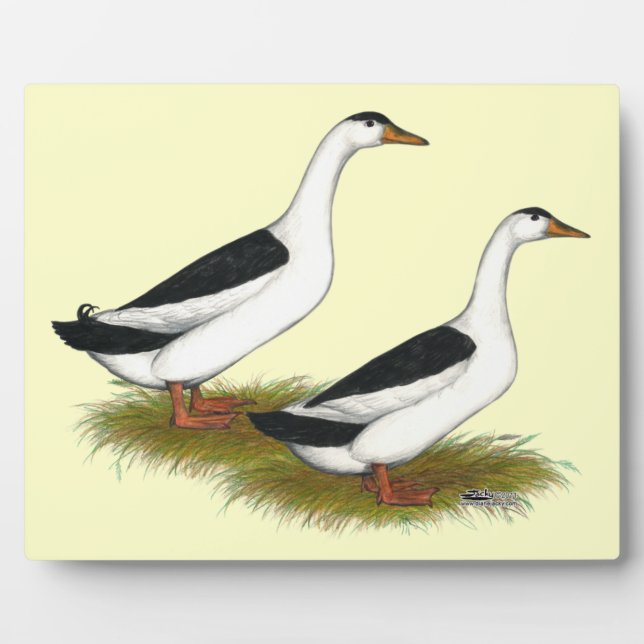 Ducks:  Black Magpies Plaque (Front)
