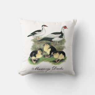 Ducks Black Pied Muscovy Family Cushion
