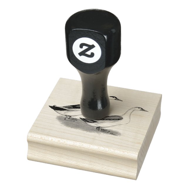Ducks:  Blue Magpies Rubber Stamp (Stamp)