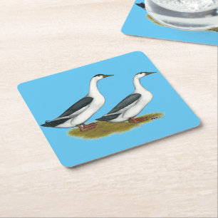 Ducks: Blue Magpies Square Paper Coaster