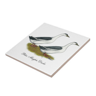 Ducks: Blue Magpies Tile