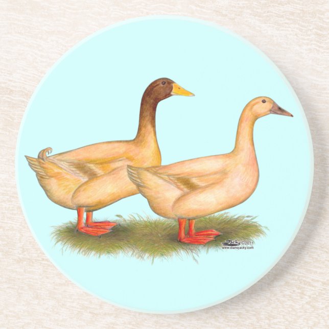 Ducks:  Buff Orpington Coaster (Front)