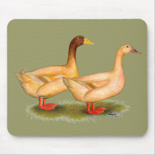 Ducks: Buff Orpington Mouse Mat