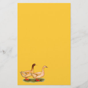 Ducks: Buff Orpington Stationery