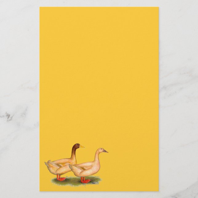 Ducks:  Buff Orpington Stationery (Front)