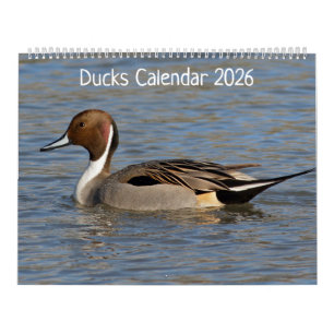 Ducks Calendar 2025