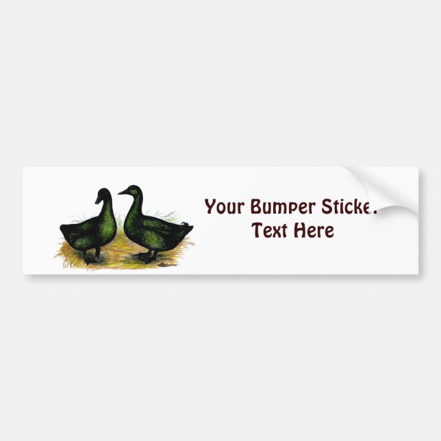 Ducks:  Cayuga Pair Bumper Sticker (Front)