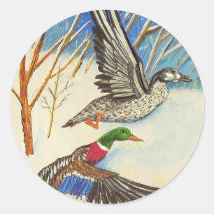 Ducks Classic Round Sticker