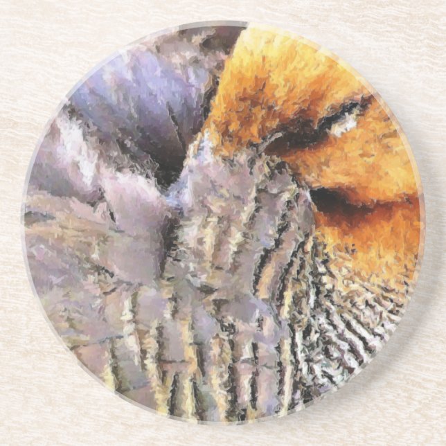 DUCKS COASTER (Front)