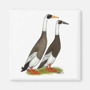 Ducks:  Emery Penciled Runners Magnet