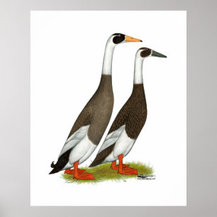Ducks:  Emery Penciled Runners Poster